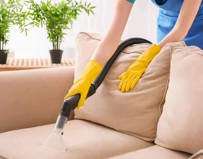 sofa cleaning